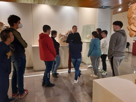 Visita Museo Arqueológico de Albacete. Organizado por la profesora Fuensanta Casado Moragón.